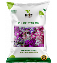 Grow Delight Imported Phlox Star Mix 100 Seeds Grow Delight Imported Phlox Star Mix 100 Seeds